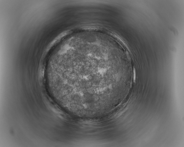 X0000114090723200910191602