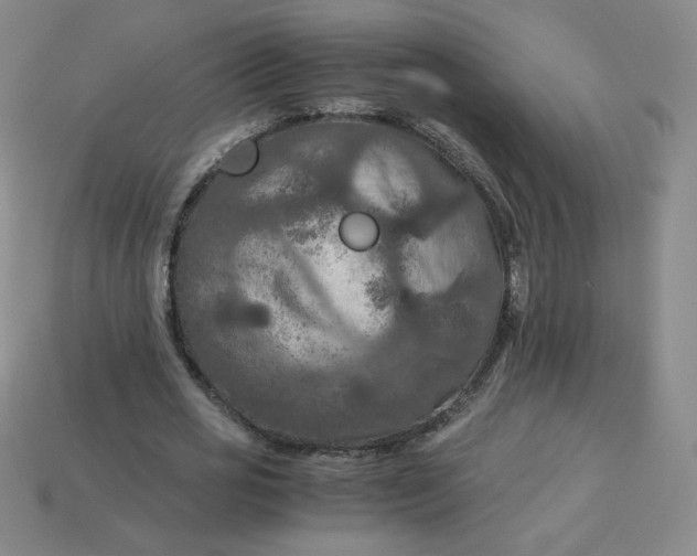 X0000114090725200910191602