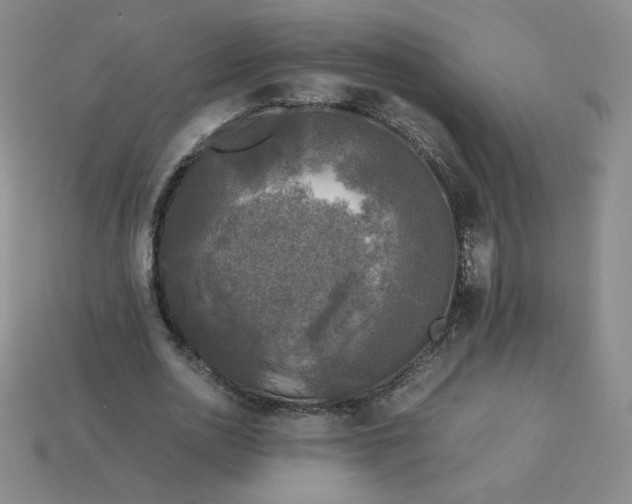 X0000114090726200910191602