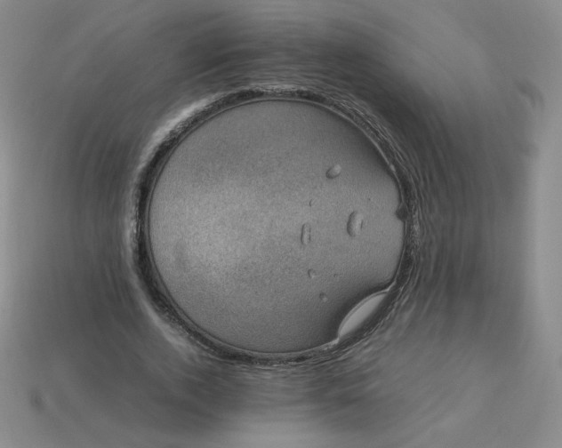 X0000114090728200910191602