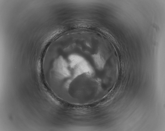 X0000114090729200910191602