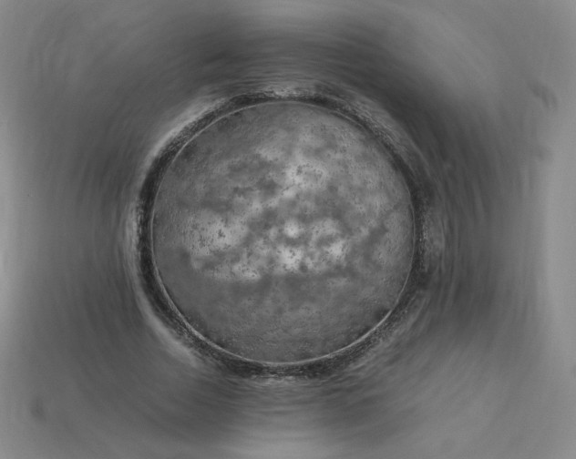 X0000114090730200910191602