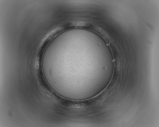 X0000114090731200910191602