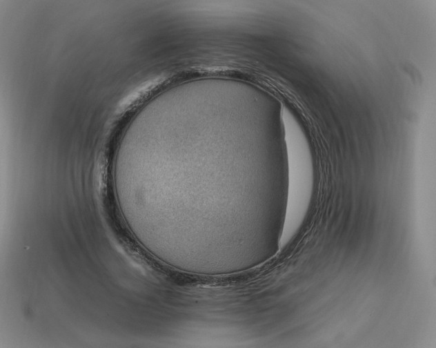 X0000114090732200910191602