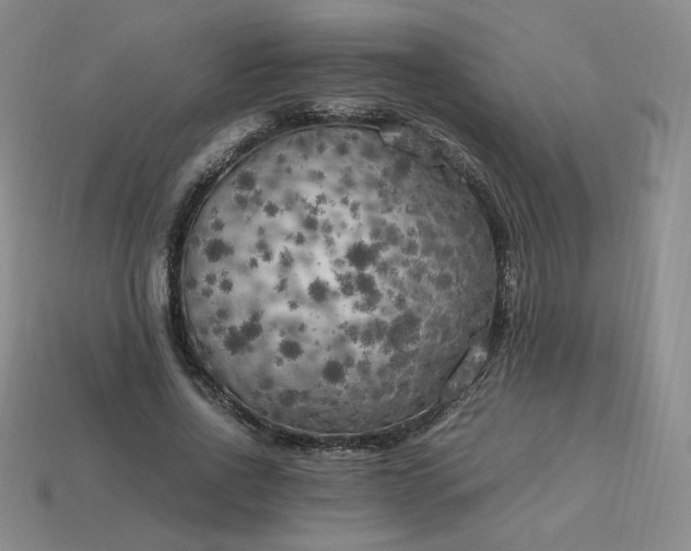 X0000114090734200910191602