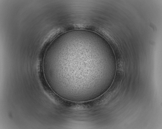 X0000114090738200910191602