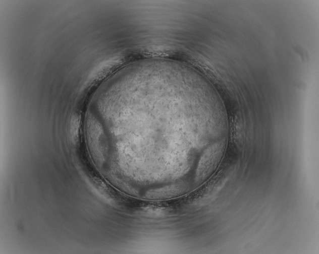 X0000114090742200910191602
