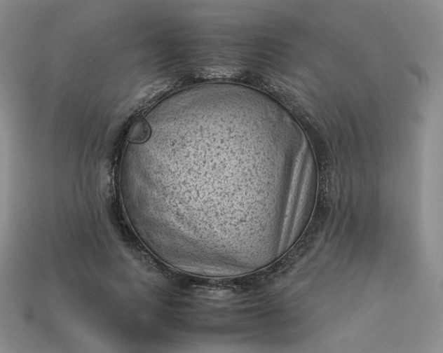 X0000114090743200910191602