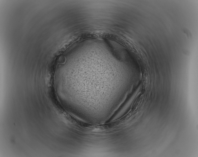 X0000114090750200910191603