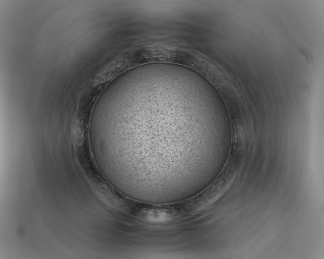 X0000114090751200910191603