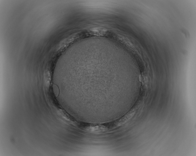 X0000114090752200910191603