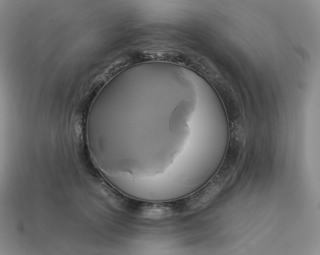 X0000114090754200910191603