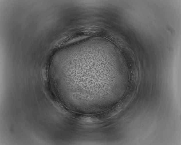 X0000114090755200910191603