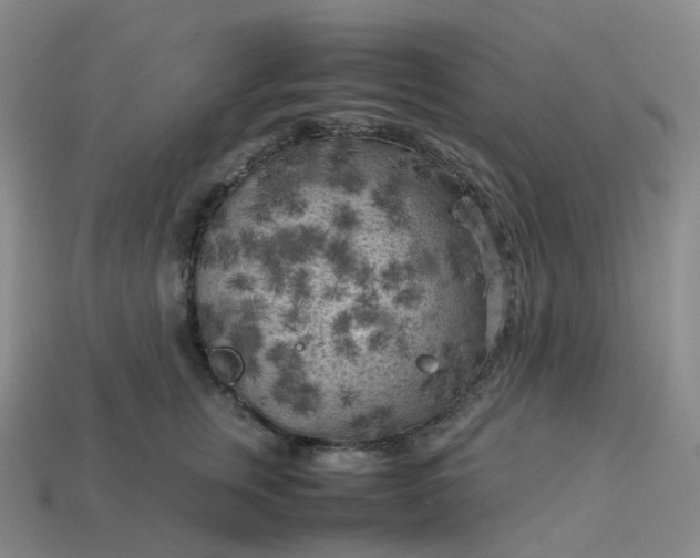 X0000114090759200910191603