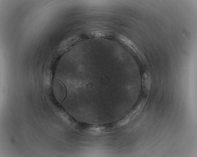 X0000114090760200910191603
