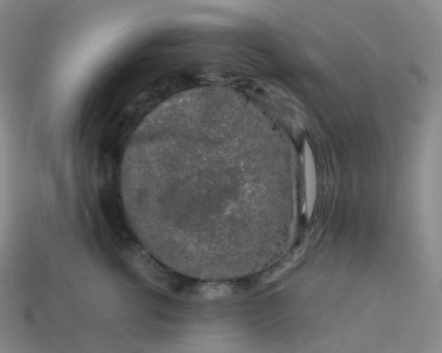 X0000114090762200910191603