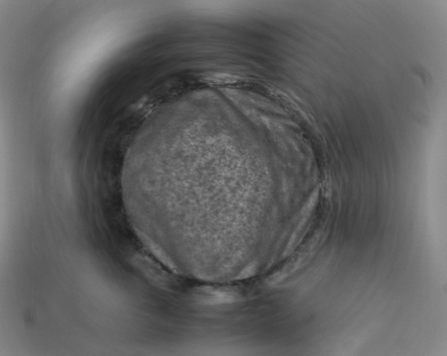 X0000114090763200910191603