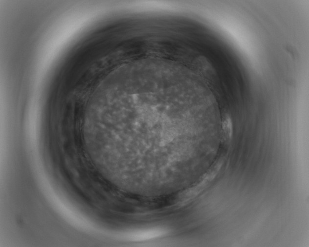X0000114090765200910191603