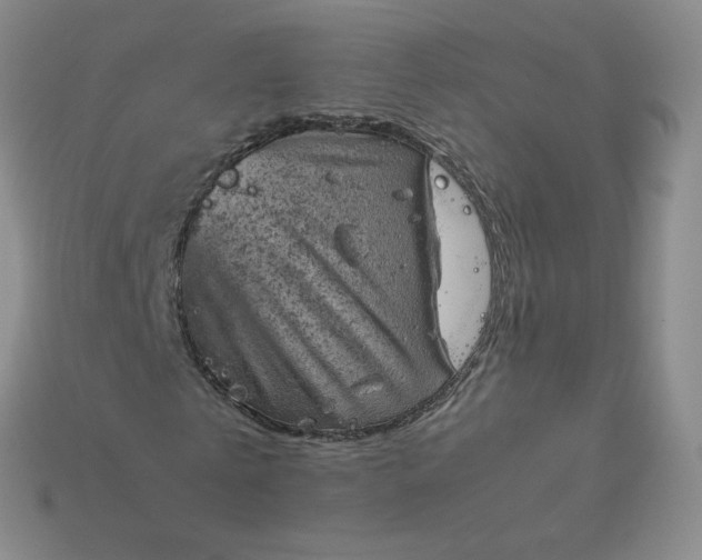 X0000114090769200910191602