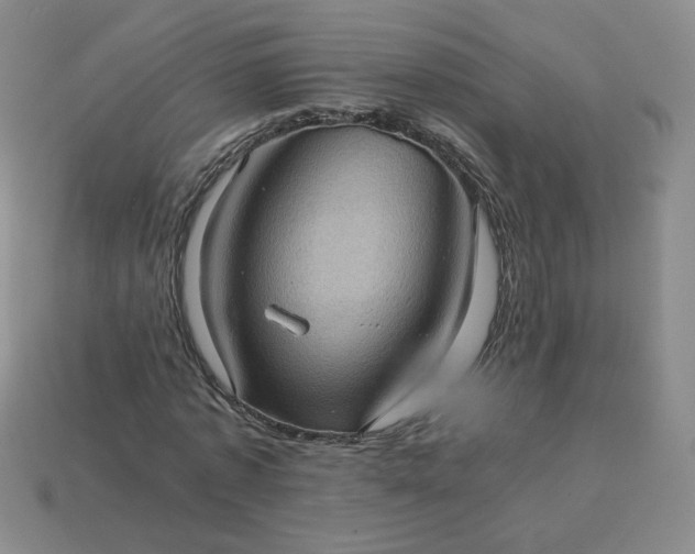 X0000114090773200910191602
