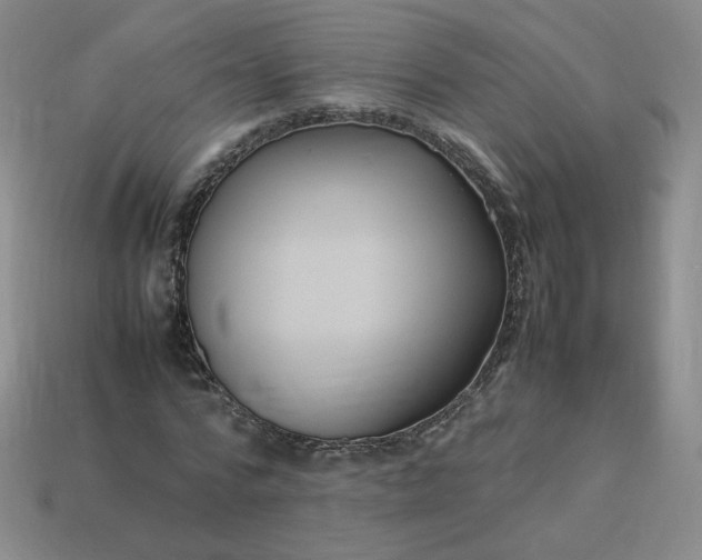X0000114090776200910191602