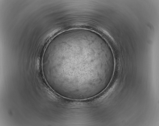 X0000114090777200910191602