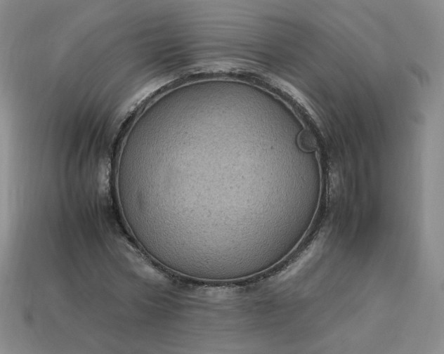 X0000114090778200910191602