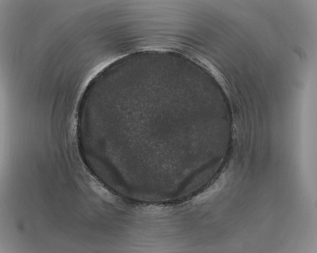 X0000114090779200910191602