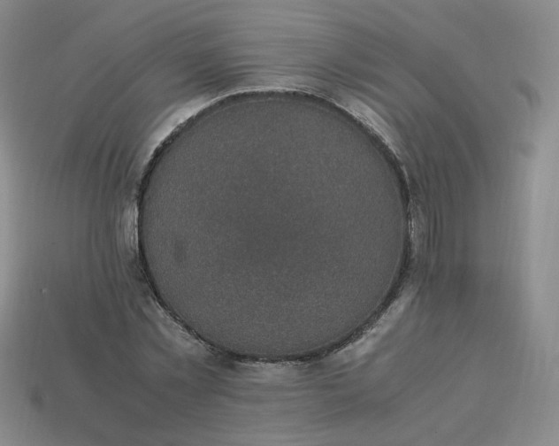 X0000114090781200910191602