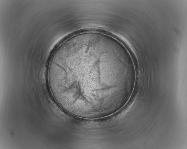 X0000114090783200910191602