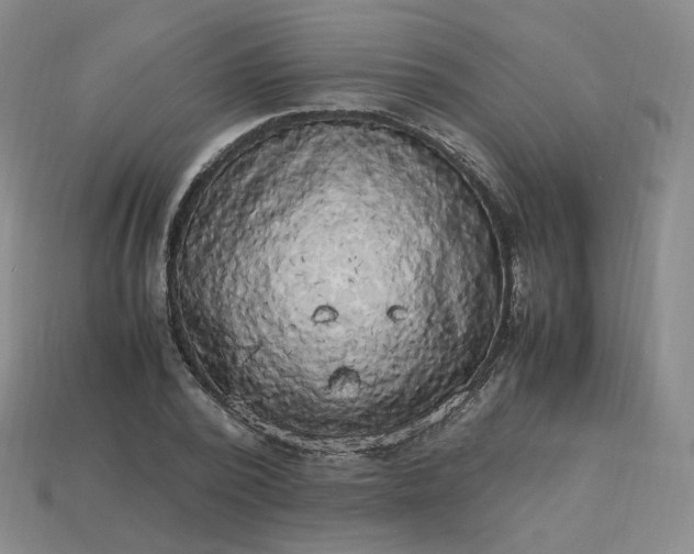 X0000114090784200910191602