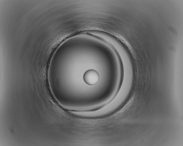 X0000114090785200910191602
