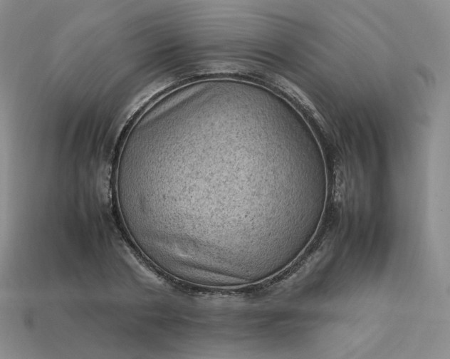 X0000114090786200910191602