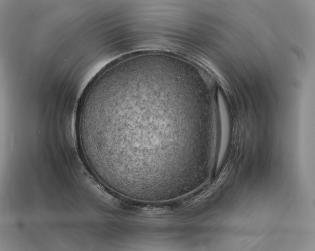 X0000114090788200910191602