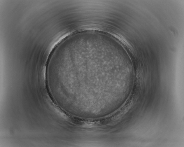 X0000114090790200910191602