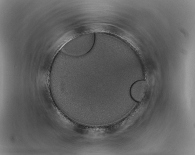 X0000114090793200910191602