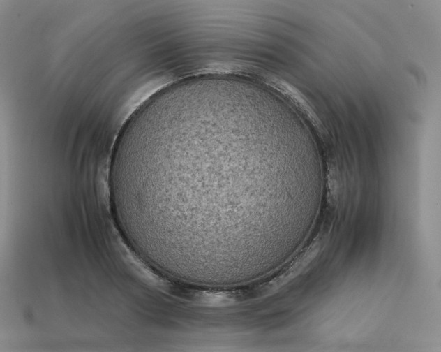 X0000114090794200910191602