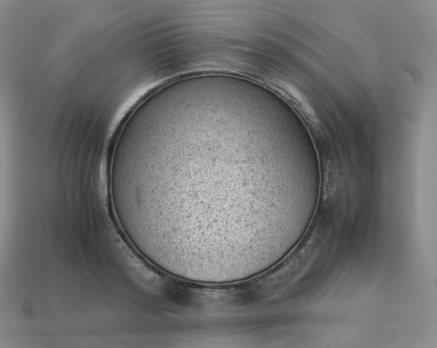 X0000114090796200910191602