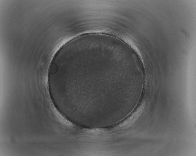 X0000114090797200910191602