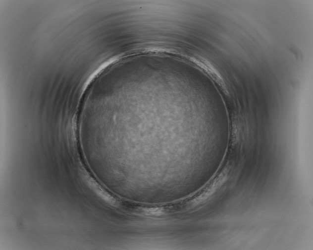 X0000114090798200910191602