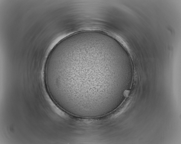 X0000114090803200910191602