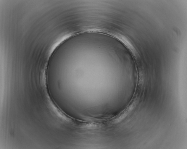 X0000114090806200910191602