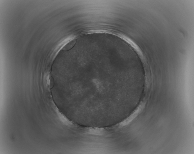 X0000114090809200910191601