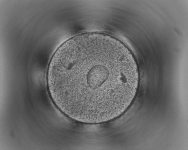 X0000114090810200910191601