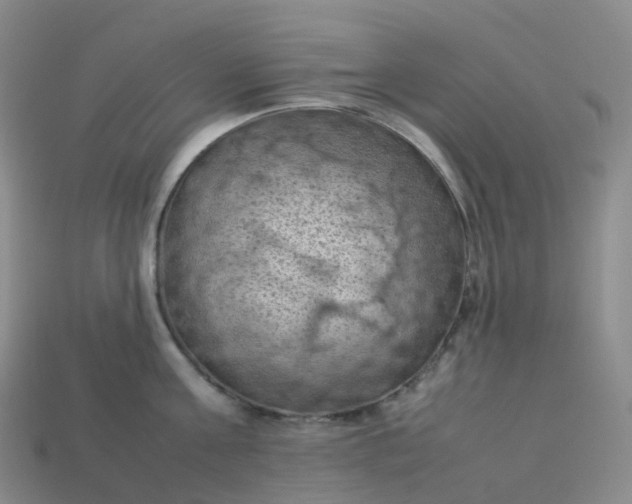 X0000114090811200910191601