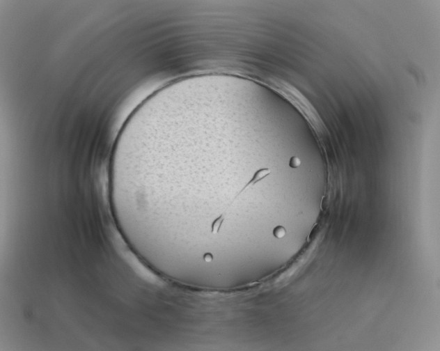X0000114090812200910191601