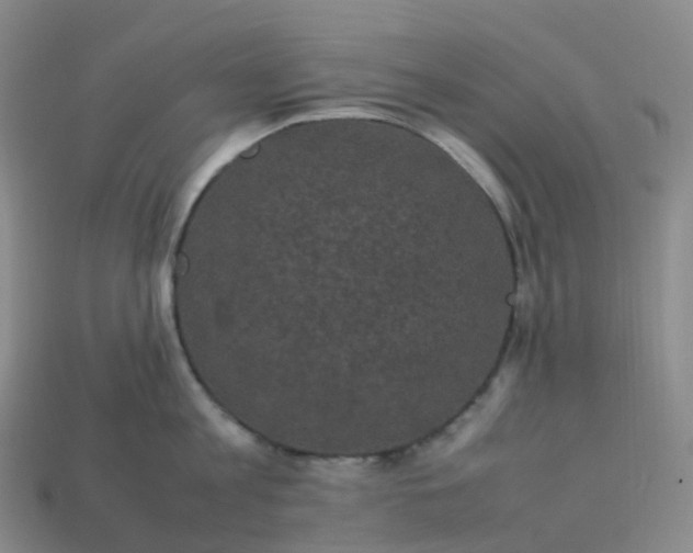 X0000114090813200910191601