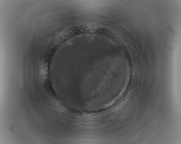 X0000114090818200910191601