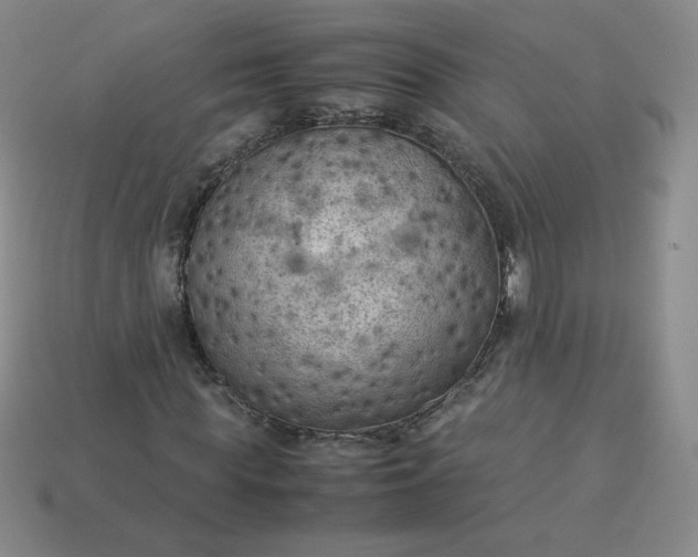 X0000114090819200910191601