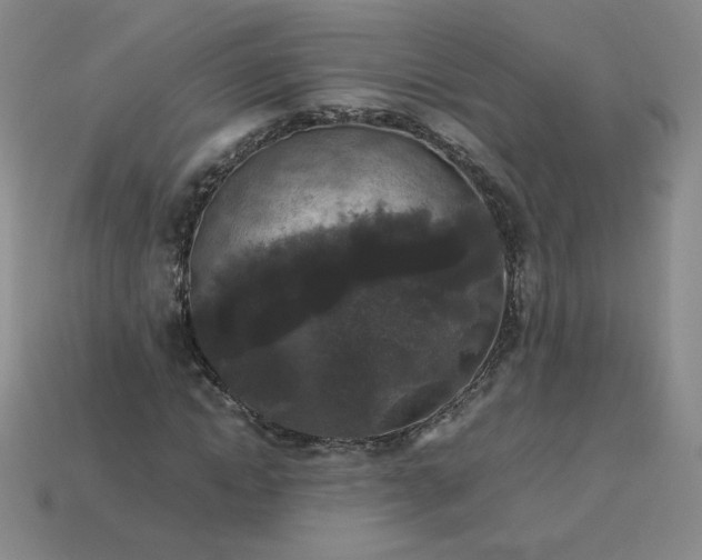 X0000114090822200910191601